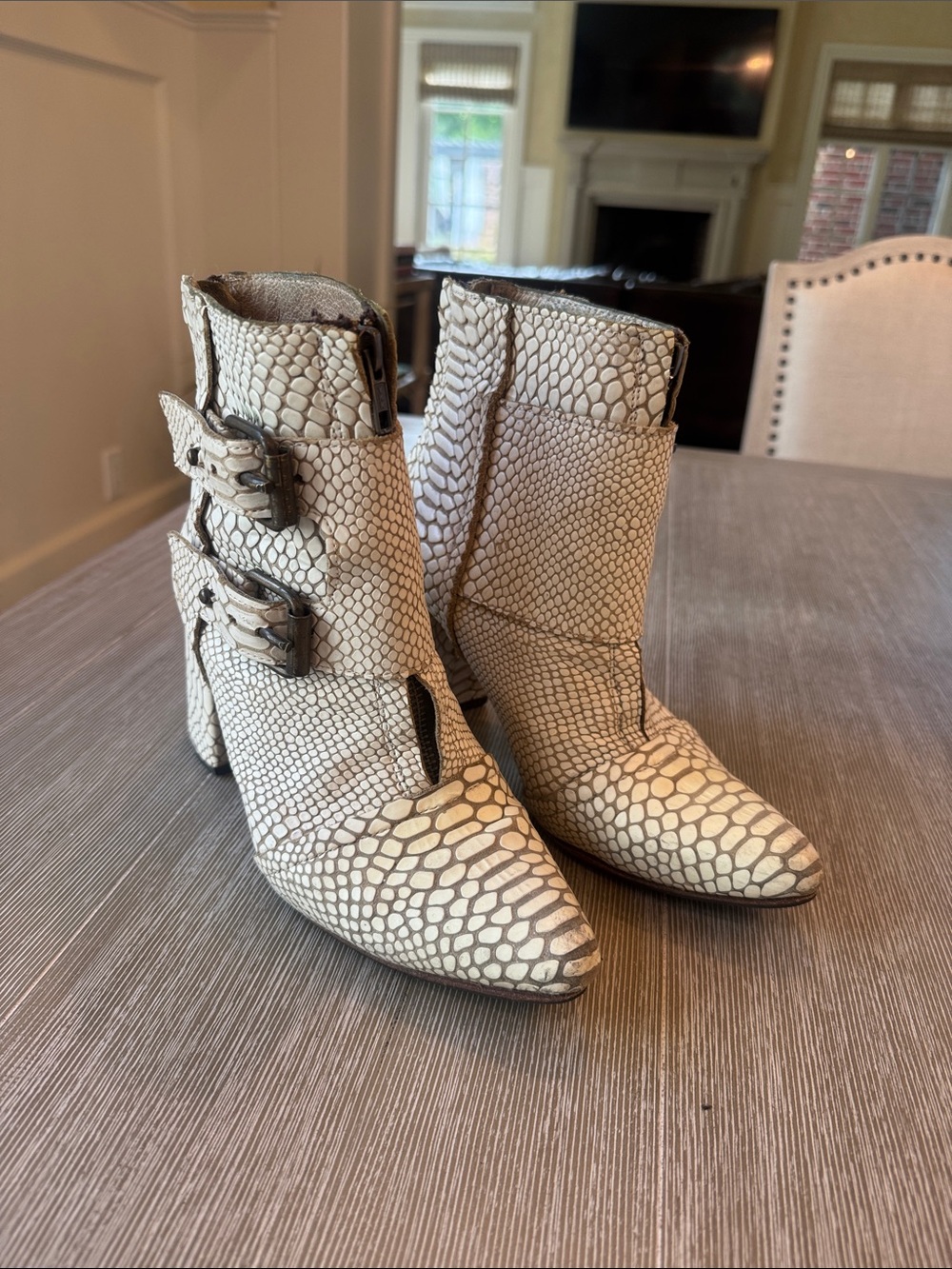 Freebird by Steven Cream Snake-Print Buckle Ankle Boots Joey